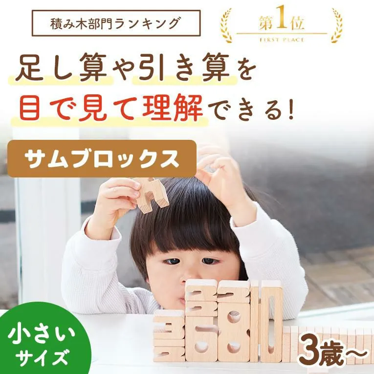 サムブロックスミニ